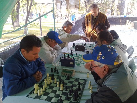 Ajedrez Individual